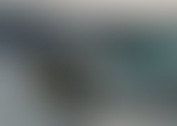 1363096391 a2c8a38393945c8bec30239e356596920f91169a