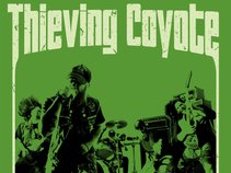 Thieving Coyote