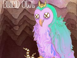 Image for Blind Owl