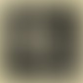 Knuckled brass and bone cover small