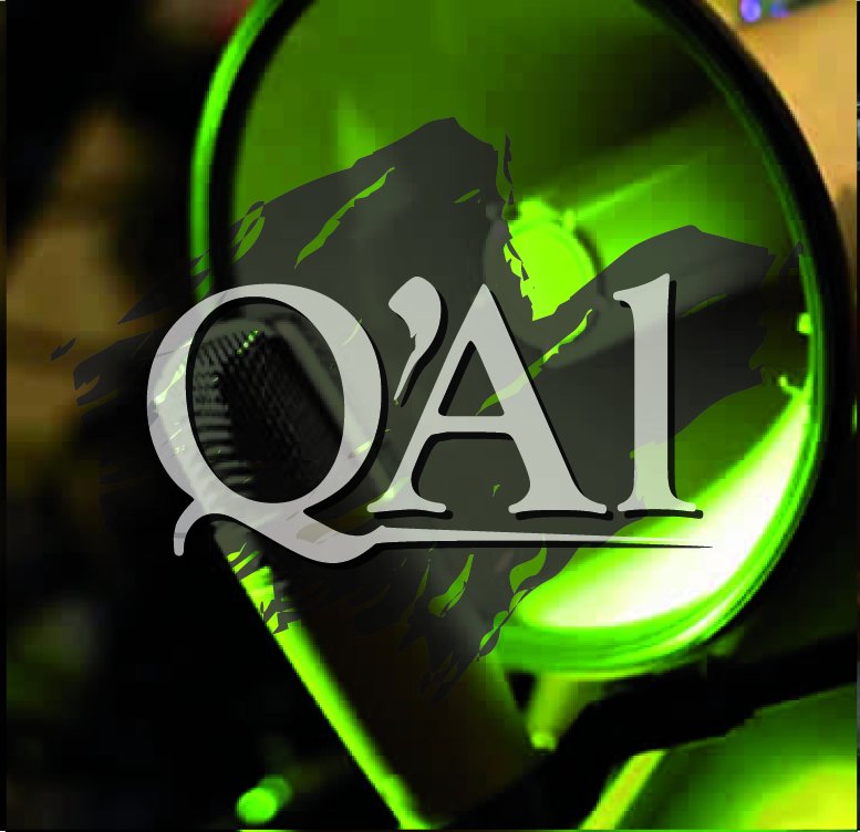 ReverbNation profile picture for @qal