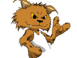Scruff The Bobcat