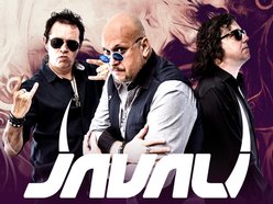 JAVALI