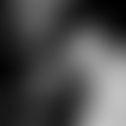 Artist 3224663 1573914001