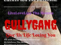 LiveLoveLipp