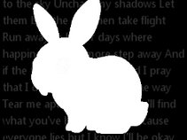 The Salty Rabbits Club