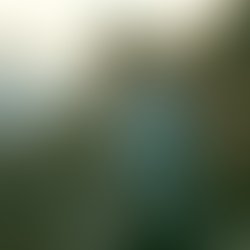 1331822780 jt at beach  small