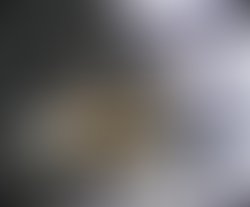 3bb4b3d2 265e 4bce 8bb7 4258bd989a4b