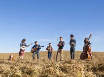 Sugar Creek Bluegrass