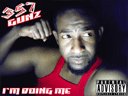 357Gunz