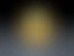 1408035606 whiz kid logo previewpendant