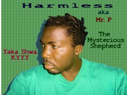 HarmlessTMSZambia
