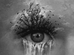 Image for The Wandering Eyes