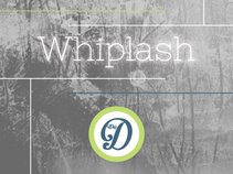 D-Whip