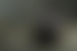 1452046503 b5e2ea3025b9d383746ff9363484f7149dc1567c