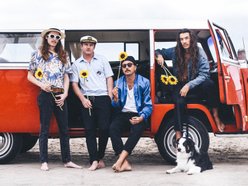 The Bash Dogs