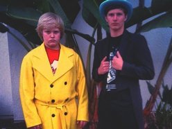 Image for The Loons