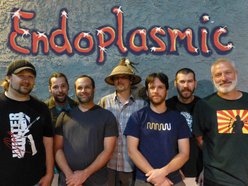 Image for Endoplasmic