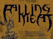 Falling Meat