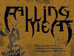Image for Falling Meat