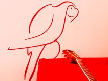 Parrot on Strings