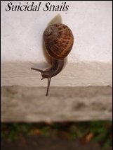 ReverbNation profile picture for @snails