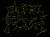 End Of All Flesh