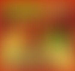 1364840103 susty 024 ddjpg 005 square