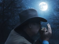 Dennis M. Cooper, Harmonica