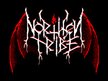 Northen Tribe