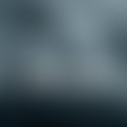 Tww profile pic 400x400 preorder