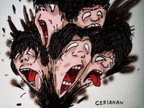 Cellci-Used
