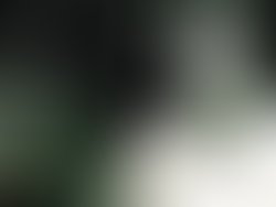 46826f12 c1cb 4dd1 91a9 f9b232cc5031 489 000000d50dbfafbc