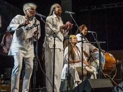 Image for Gaye Adegbalola & the Wild Rutz - A Cappella Blues