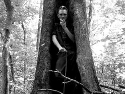Image for J.D. Wilkes