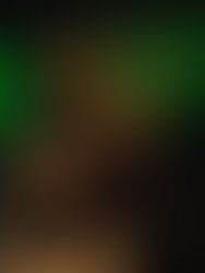 1365677965 224