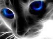 Death Kitty Disco