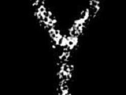 Image for Igby Iris