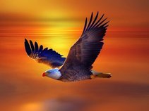Freebird