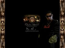d.N.i Ultravision Records
