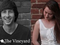 The Vineyard