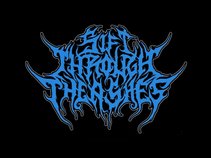 SIFT THROUGH THE ASHES