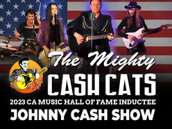 Mighty Cash Cats