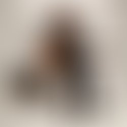 Image f083c08e4d54af7ca49723ec64bca303