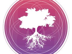 The Mentalist Collective