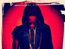 CEDD ROCX