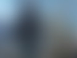 Front car pose playa