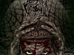 Image for Bedlam of Cacophony