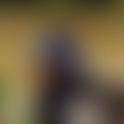 1441683068 artist 3317254 1441683054