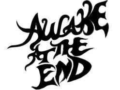 Image for Awake At The End
